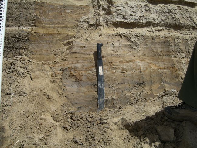  2006:09:07 01:47:47   NSideBuhaTer3 - Wavy and ripple-laminated sand silt and clayey sand.jpg